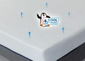 Nệm duy trì độ khô tự nhiên suốt đêm, mát lưng